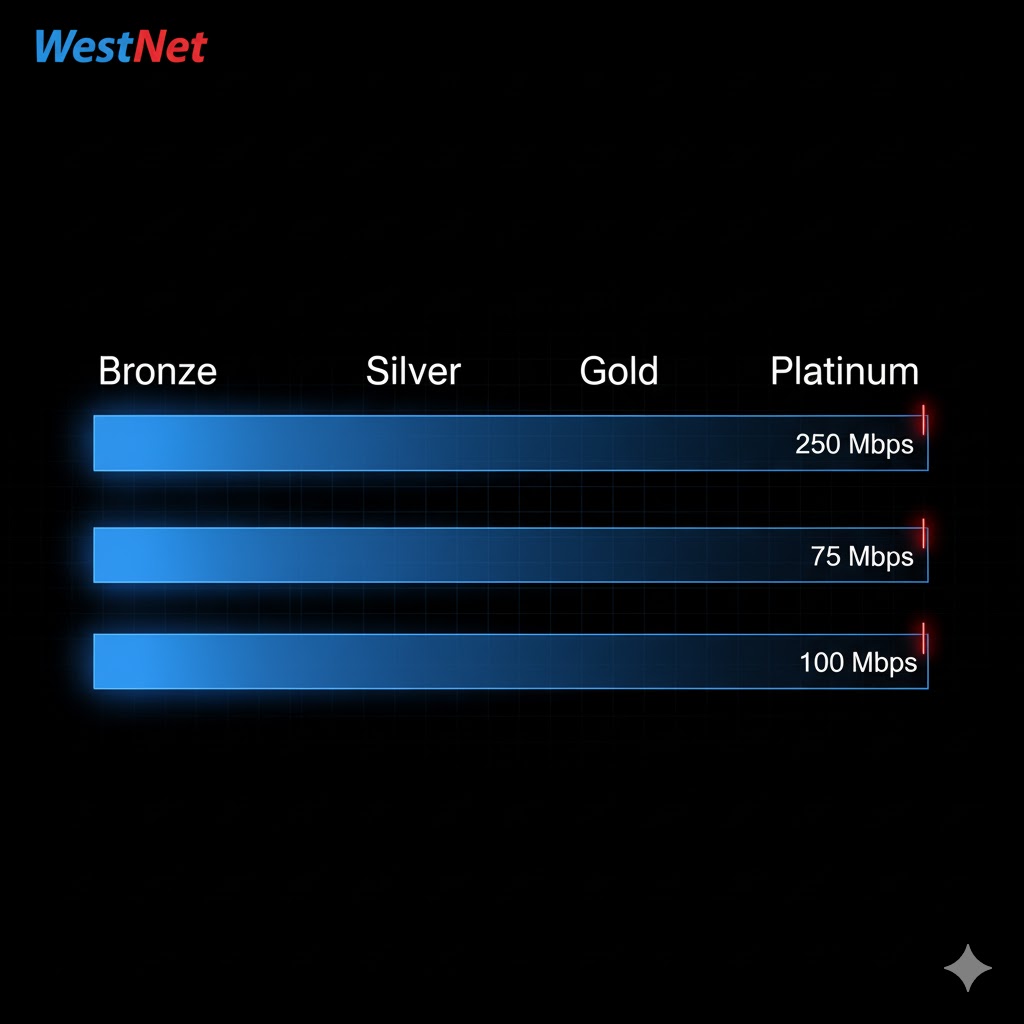 WestNet bandwidth tiers — 100 Mbps plan launched 2023